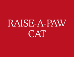 Raise-A-Paw Cat