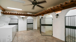 Cat Kennel Room