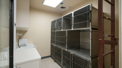 Isolation Room Sponsor